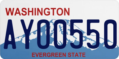 WA license plate AYO0550