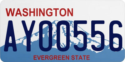 WA license plate AYO0556