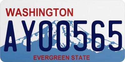 WA license plate AYO0565