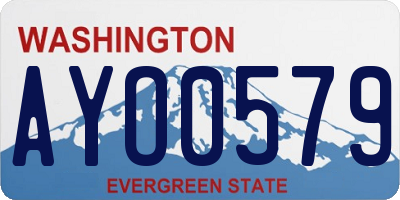 WA license plate AYO0579