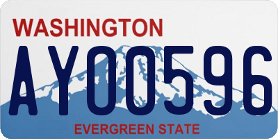 WA license plate AYO0596