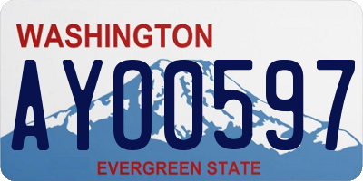 WA license plate AYO0597