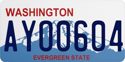 WA license plate AYO0604