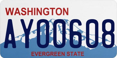 WA license plate AYO0608
