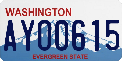 WA license plate AYO0615