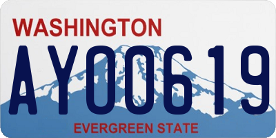 WA license plate AYO0619