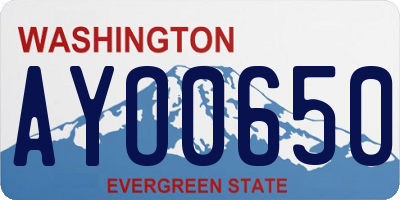 WA license plate AYO0650