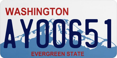 WA license plate AYO0651
