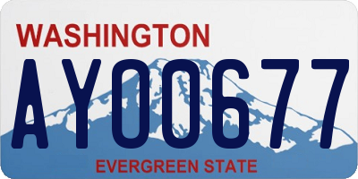 WA license plate AYO0677