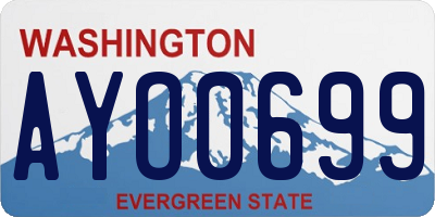 WA license plate AYO0699