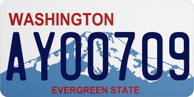 WA license plate AYO0709