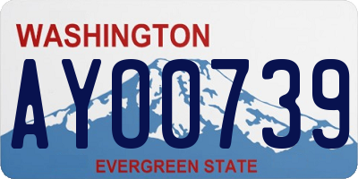 WA license plate AYO0739