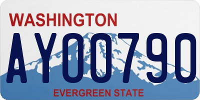 WA license plate AYO0790