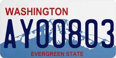 WA license plate AYO0803