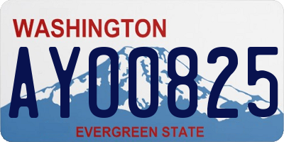 WA license plate AYO0825