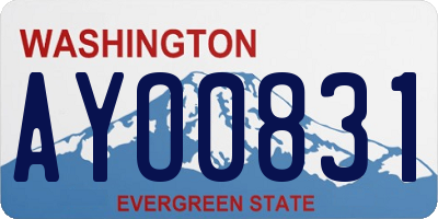 WA license plate AYO0831