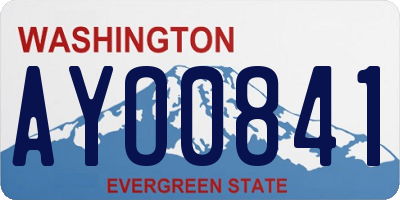 WA license plate AYO0841