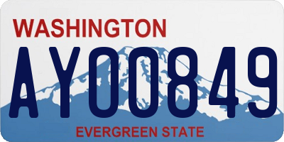 WA license plate AYO0849