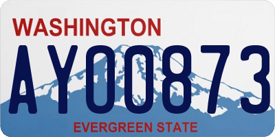 WA license plate AYO0873
