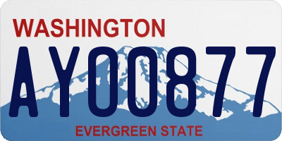 WA license plate AYO0877