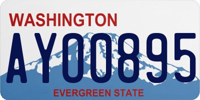 WA license plate AYO0895