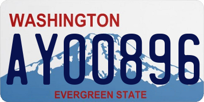WA license plate AYO0896