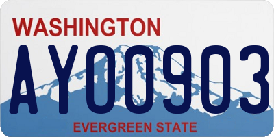 WA license plate AYO0903