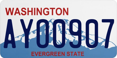 WA license plate AYO0907