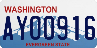 WA license plate AYO0916