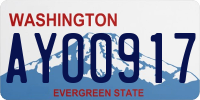 WA license plate AYO0917