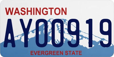 WA license plate AYO0919