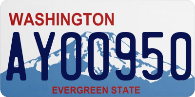 WA license plate AYO0950