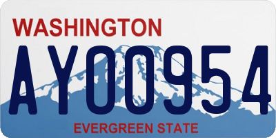 WA license plate AYO0954