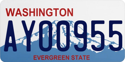 WA license plate AYO0955