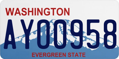 WA license plate AYO0958