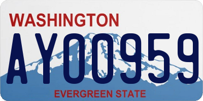 WA license plate AYO0959