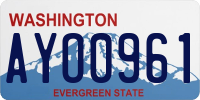 WA license plate AYO0961