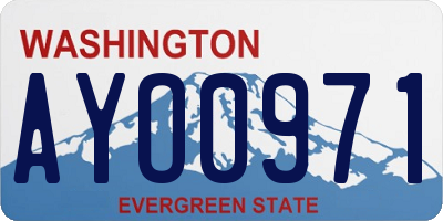 WA license plate AYO0971