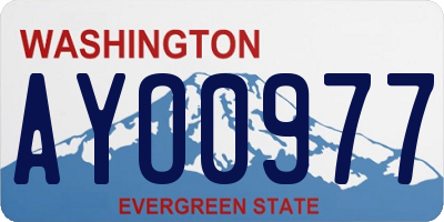 WA license plate AYO0977