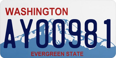 WA license plate AYO0981