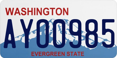 WA license plate AYO0985