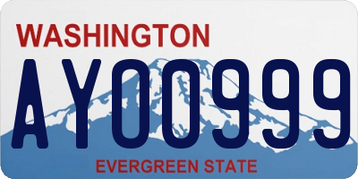 WA license plate AYO0999