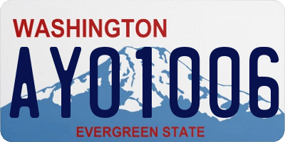 WA license plate AYO1006
