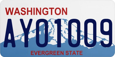 WA license plate AYO1009