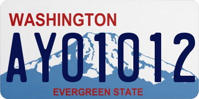 WA license plate AYO1012