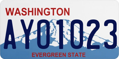 WA license plate AYO1023