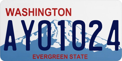 WA license plate AYO1024
