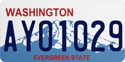 WA license plate AYO1029