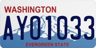 WA license plate AYO1033