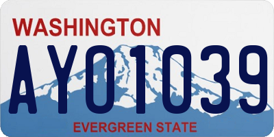 WA license plate AYO1039